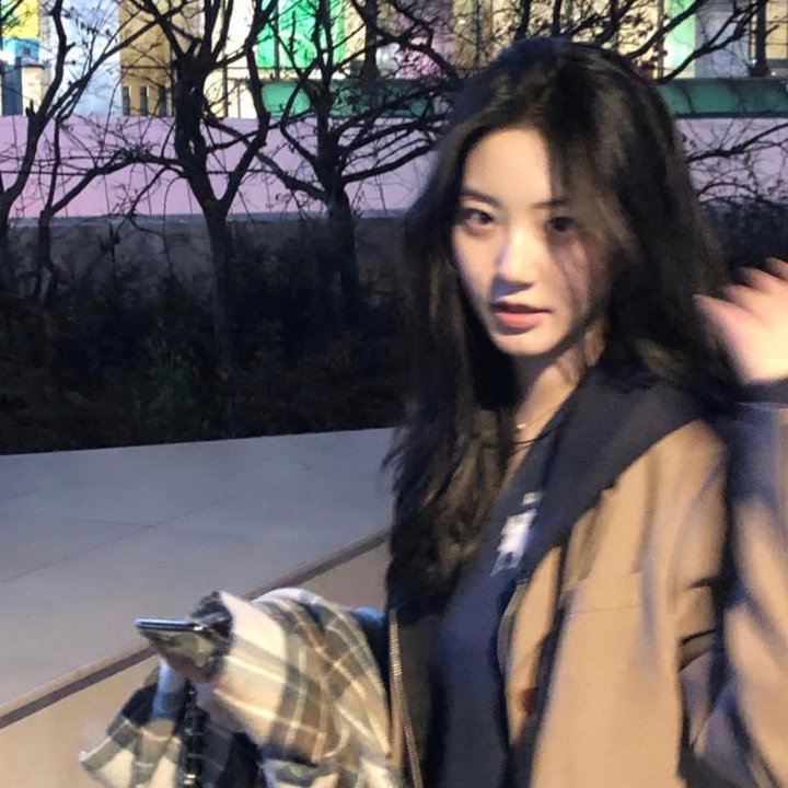 挖那只狗