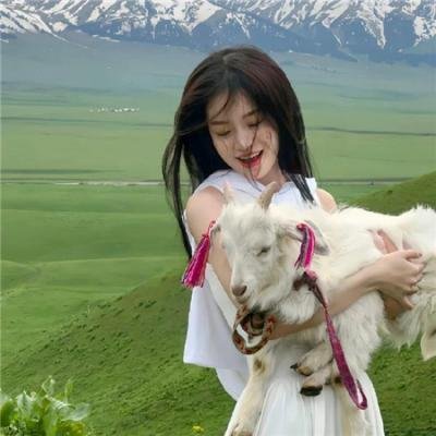 伊拉克碎片