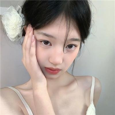 极主夫道 电影版